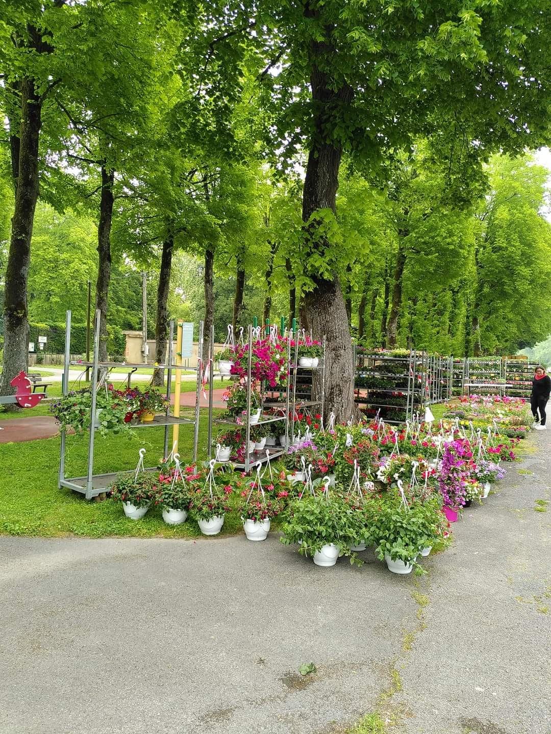 Venez faire le plein de fleurs à Mareuil !